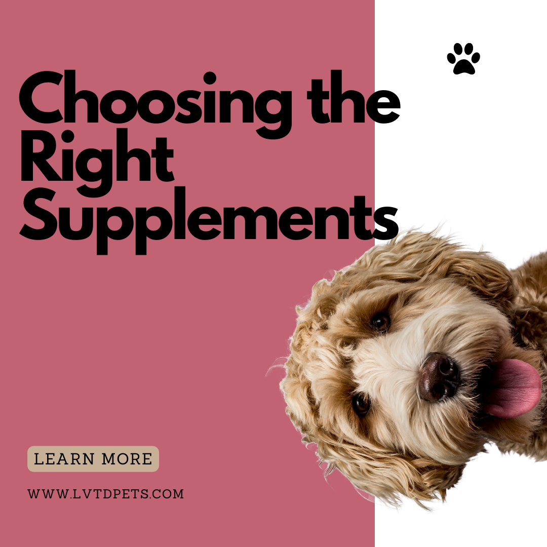 Choosing the Right Supplements for Your Pet's Unique Needs